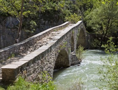 Πορτίτσα: Το πέτρινο γεφύρι στον ποταμό Βενέτικο που κάνει το τοπίο να θυμίζει εικόνα από καρτ ποστάλ (φωτό, βίντεο)